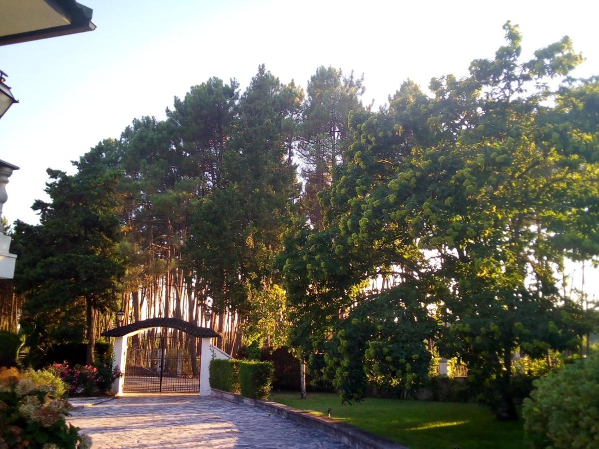 Pinheirinhos - Quinta de São Caetano Carapito Exterior foto