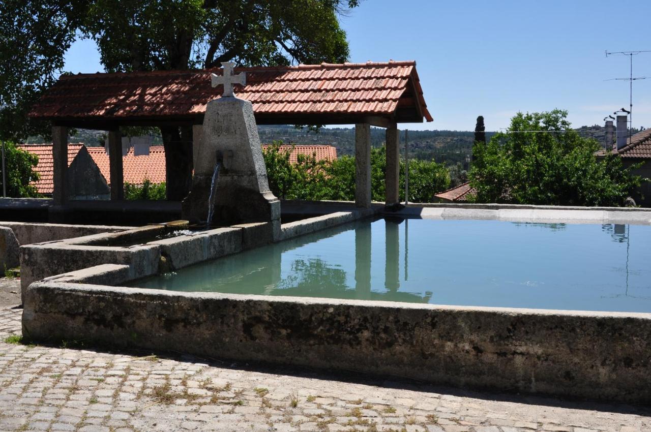 Pinheirinhos - Quinta de São Caetano Carapito Exterior foto