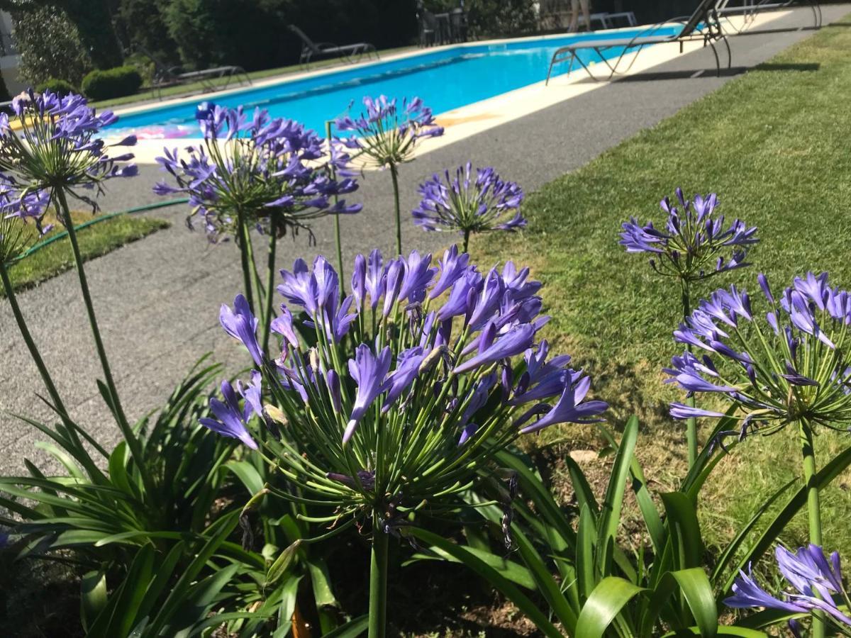 Pinheirinhos - Quinta de São Caetano Carapito Exterior foto