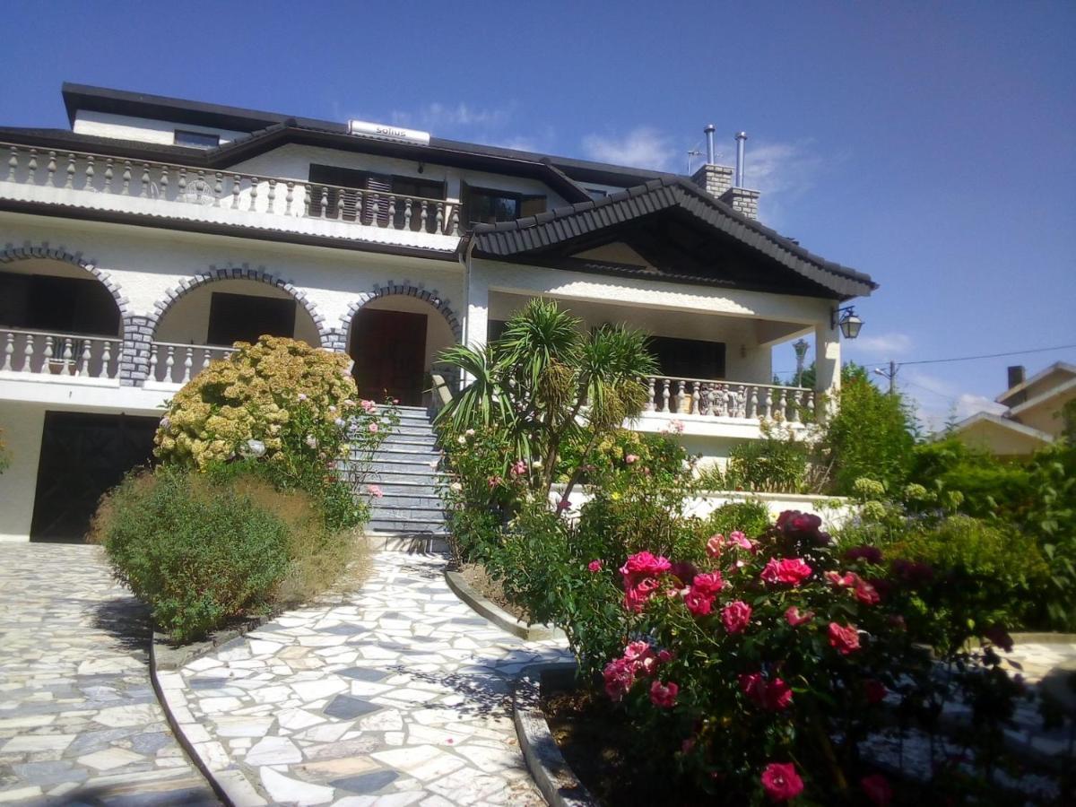 Pinheirinhos - Quinta de São Caetano Carapito Exterior foto