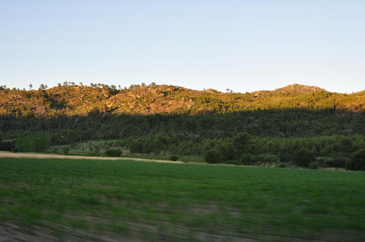 Pinheirinhos - Quinta de São Caetano Carapito Exterior foto