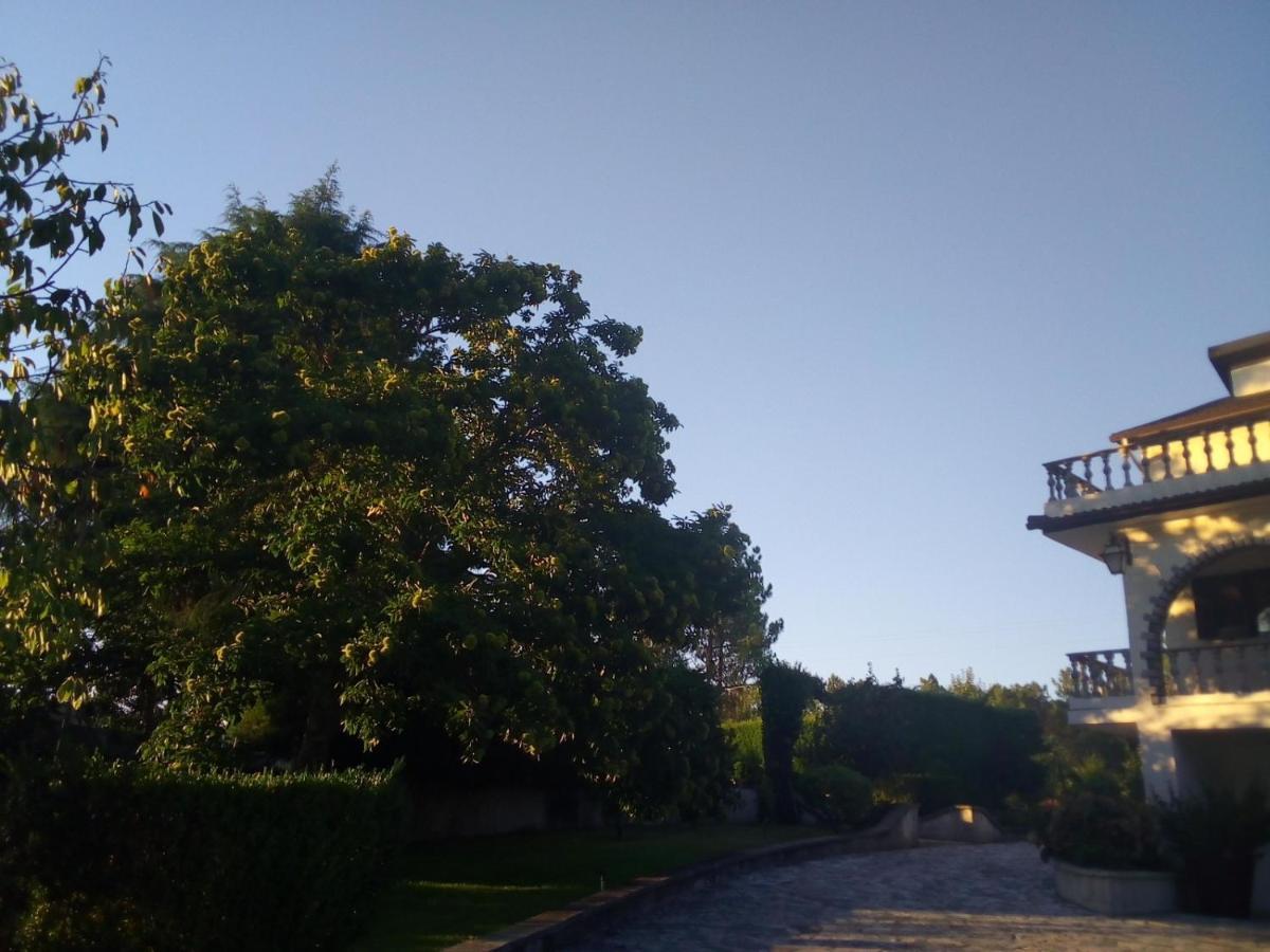 Pinheirinhos - Quinta de São Caetano Carapito Exterior foto